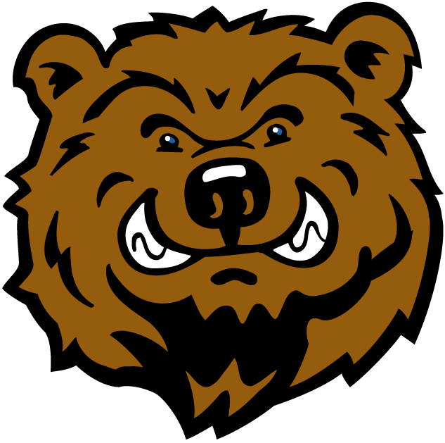 UCLA Bruins 2004-Pres Mascot Logo v4 DIY iron on transfer (heat transfer)